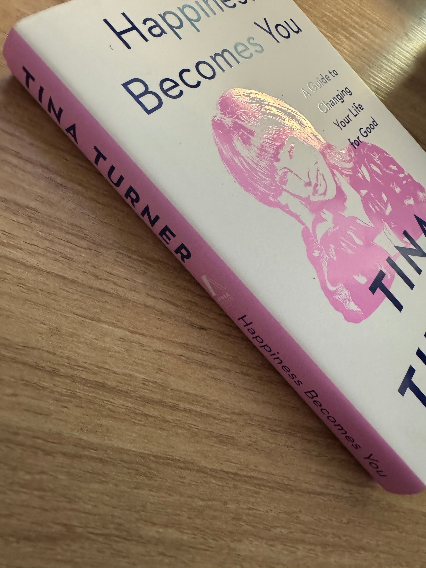 Happiness Becomes You: A Gudie To Changing Your Life For Good by Tina Turner