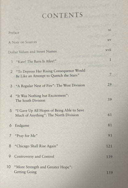 Chicago's Great Fire by Carl Smith