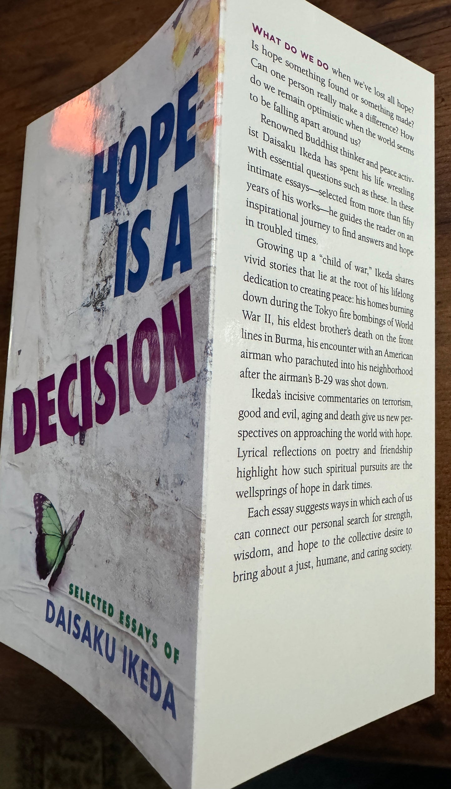 Hope Is A Decision: Selected Essays By Daisaku Ikeda